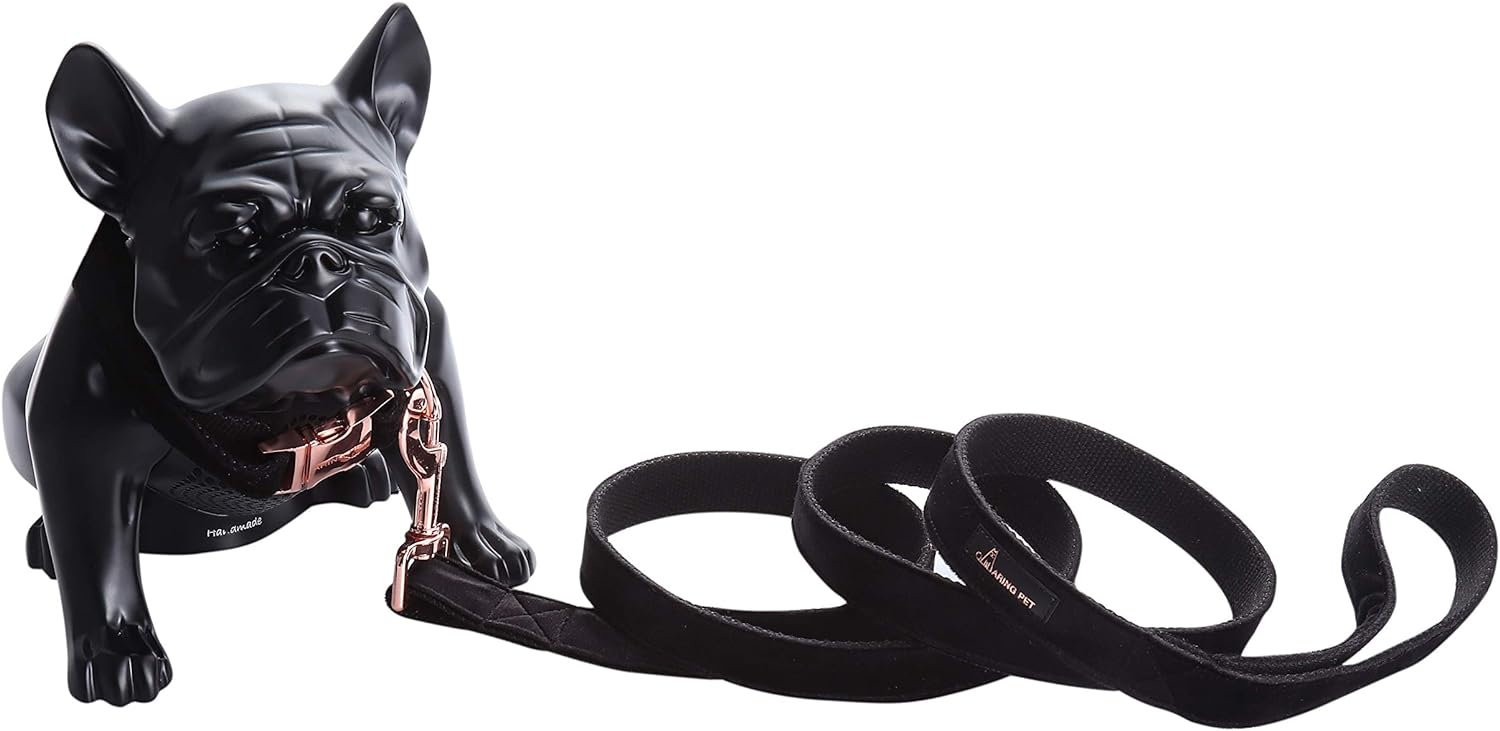 ARING PET Dog Collar and Leash, Velvet Dog Collar and Leash Set, Soft  Comfy, Adjustable Collars for Dogs