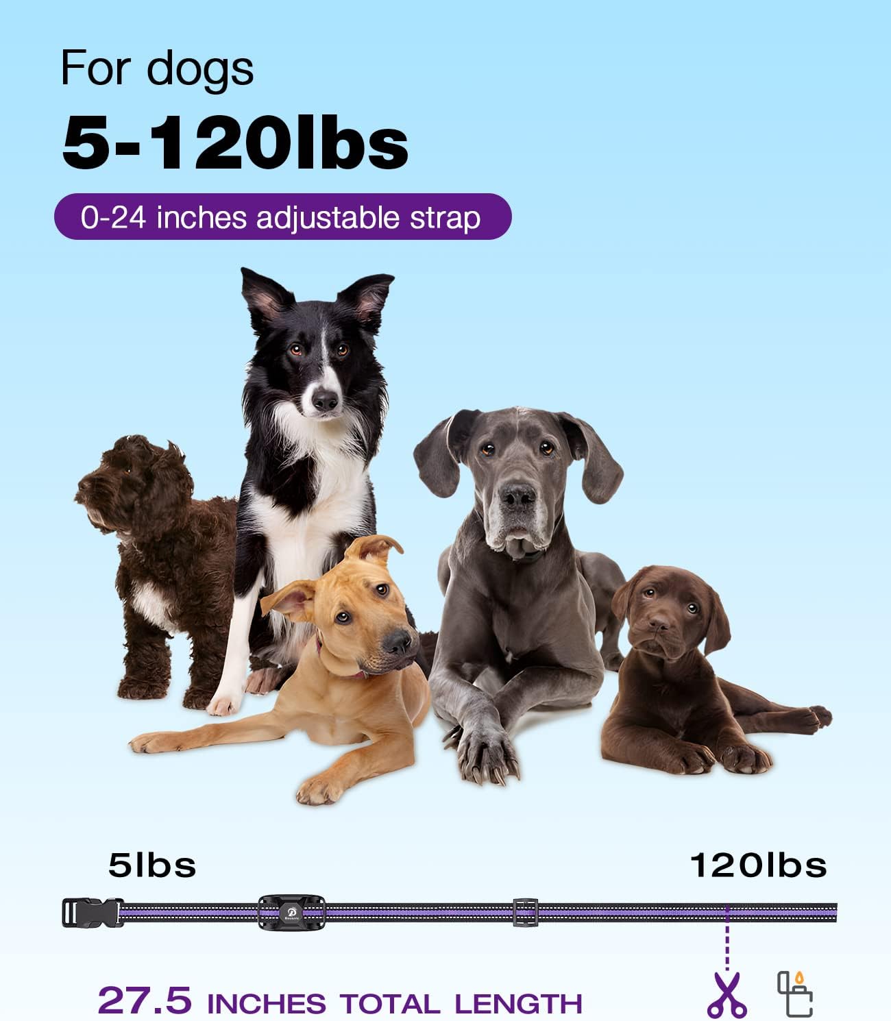 Bousnic Dog Shock Collar - 3300Ft Dog Training Collar with Remote for 5-120lbs Small Medium Large Dogs Rechargeable Waterproof e Collar with Beep (1-8), Vibration(1-16), Safe Shock(1-99) Modes(Purple)