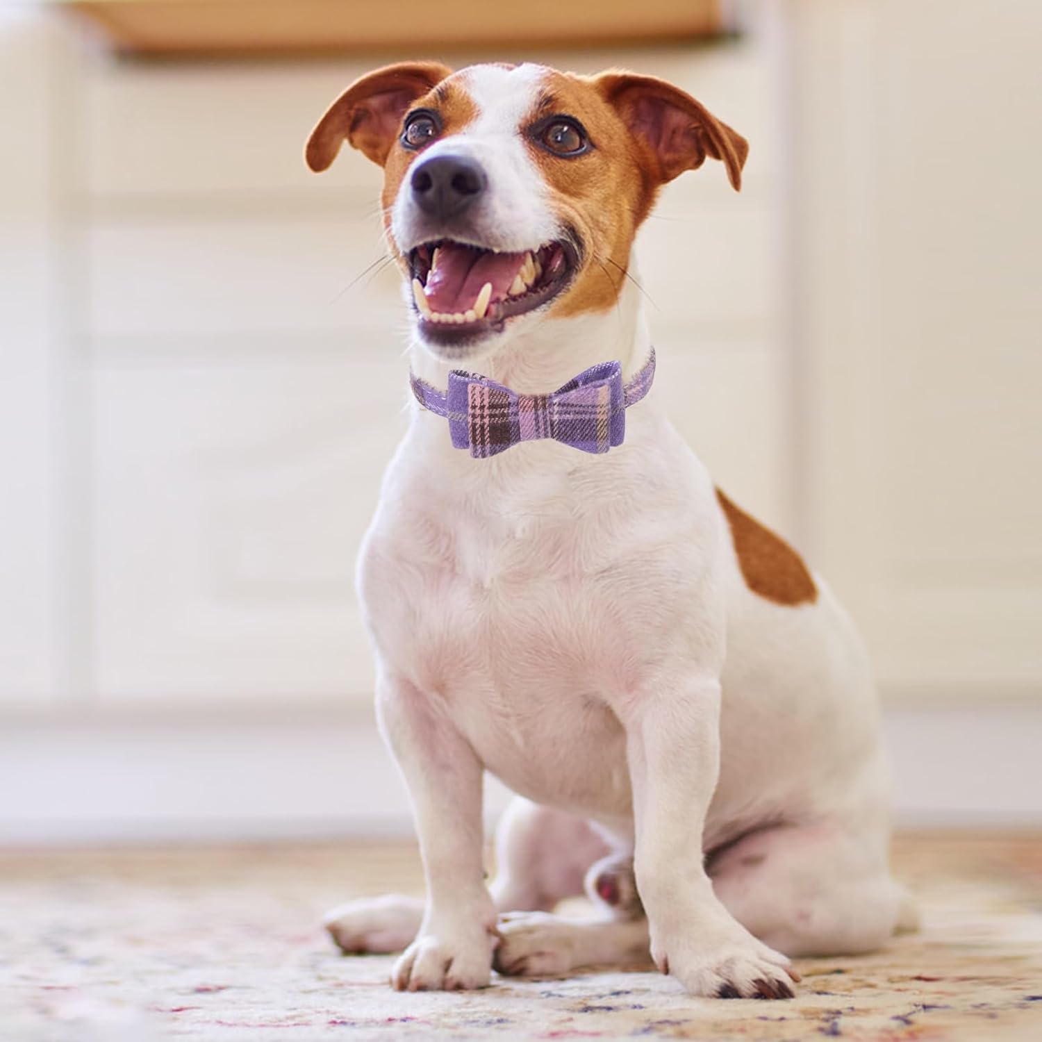 Bow Tie Dog Collar and Leash Set for Small Dogs - Puppy Leash Collars Classic Beige Plaid - Adjustable Size with Golden Bell - Perfect for Medium Breeds Boys