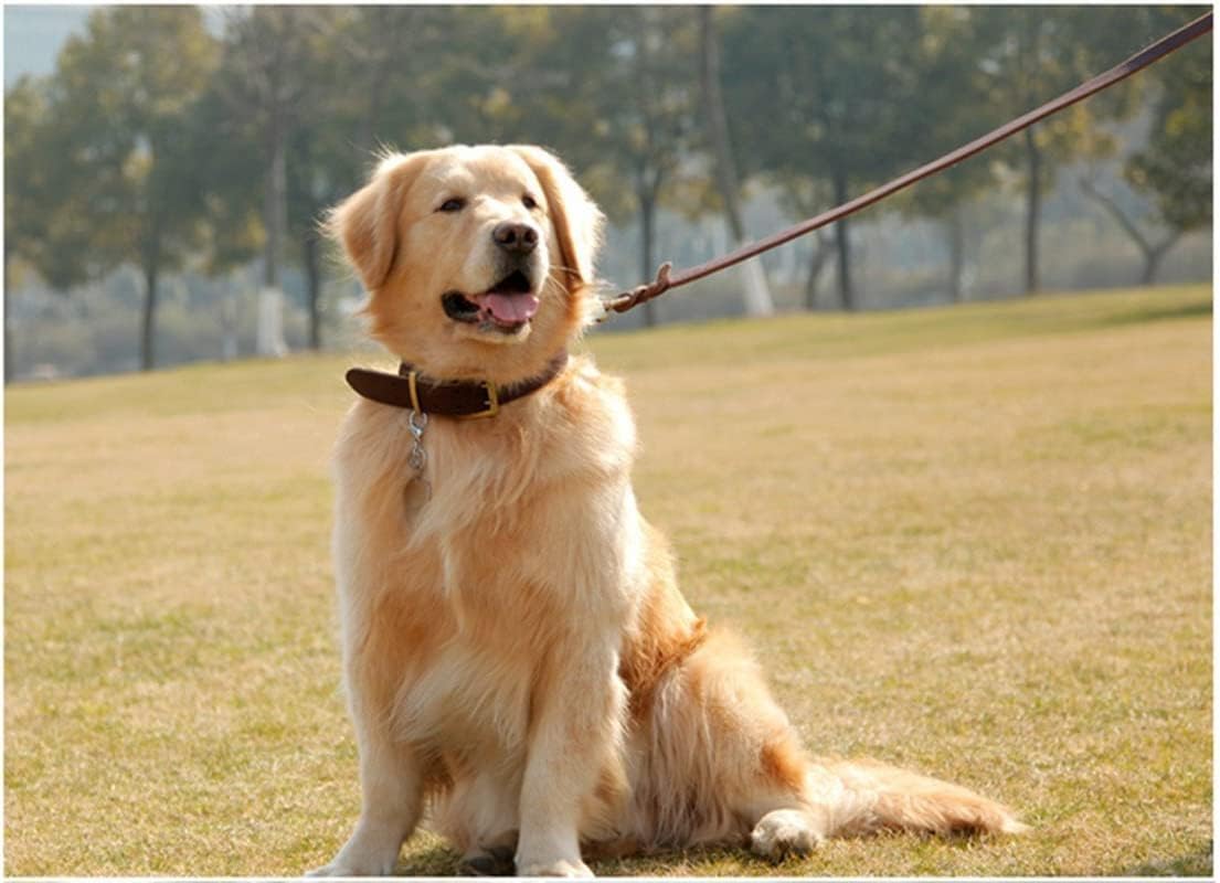 Guiding Star 6ft Leather Dog Leash and Collar Set, Soft Braided Leather Dog Leash 6ft with Adjustable Dog Collar, Heavy Duty Leather Dog Collar and Leash Set Combo for Small Medium Large Dogs
