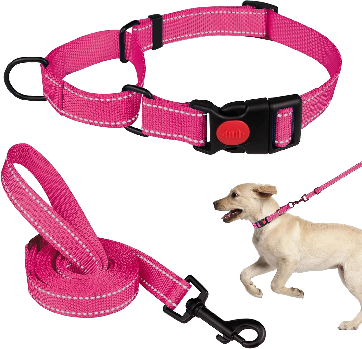 Martingale Dog Collar and Leash Set Martingale Collars for Dogs Reflective Martingale Collar for Small Medium Large Dogs(Hot PinkS)
