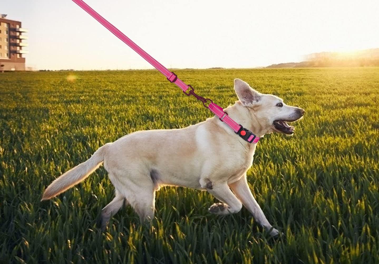 Martingale Dog Collar and Leash Set Martingale Collars for Dogs Reflective Martingale Collar for Small Medium Large Dogs(Hot PinkS)
