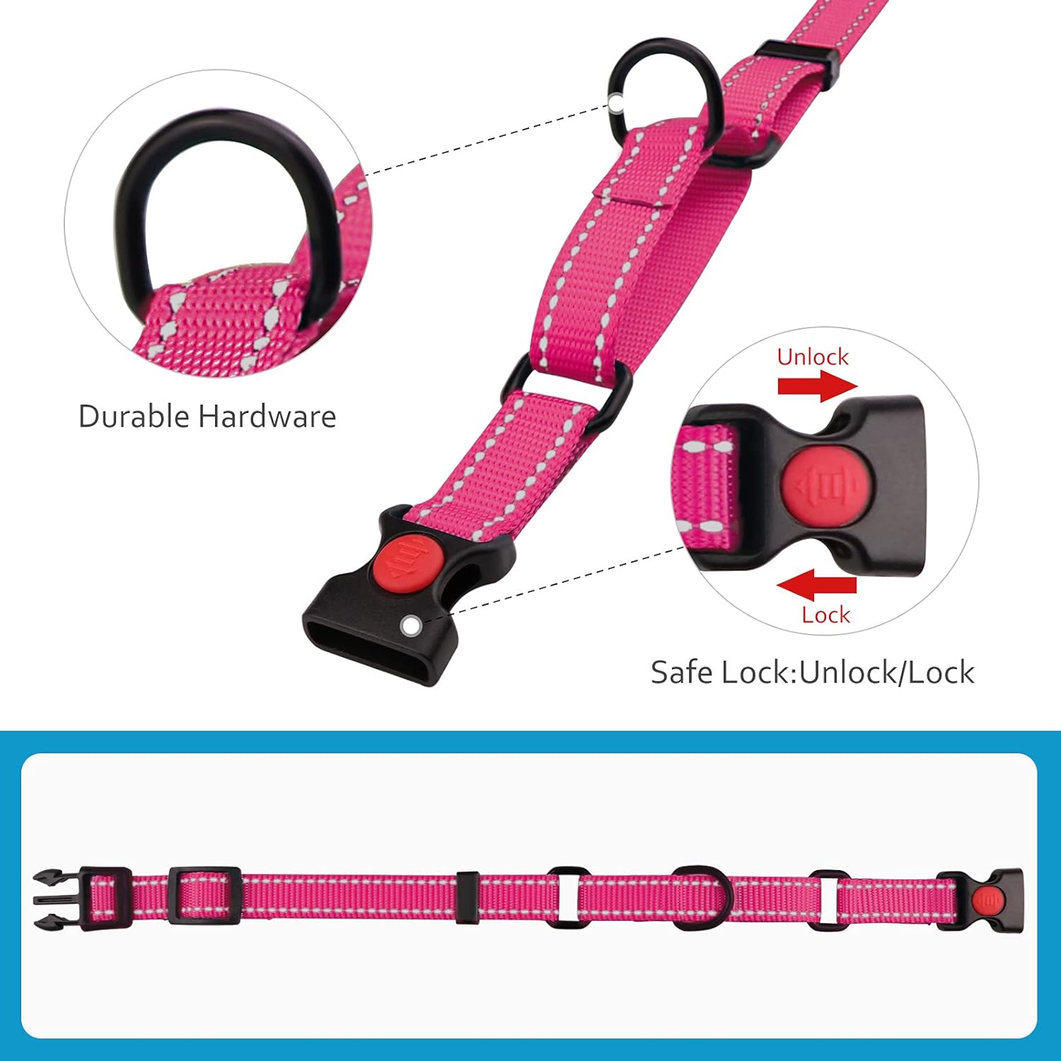Martingale Dog Collar and Leash Set Review
