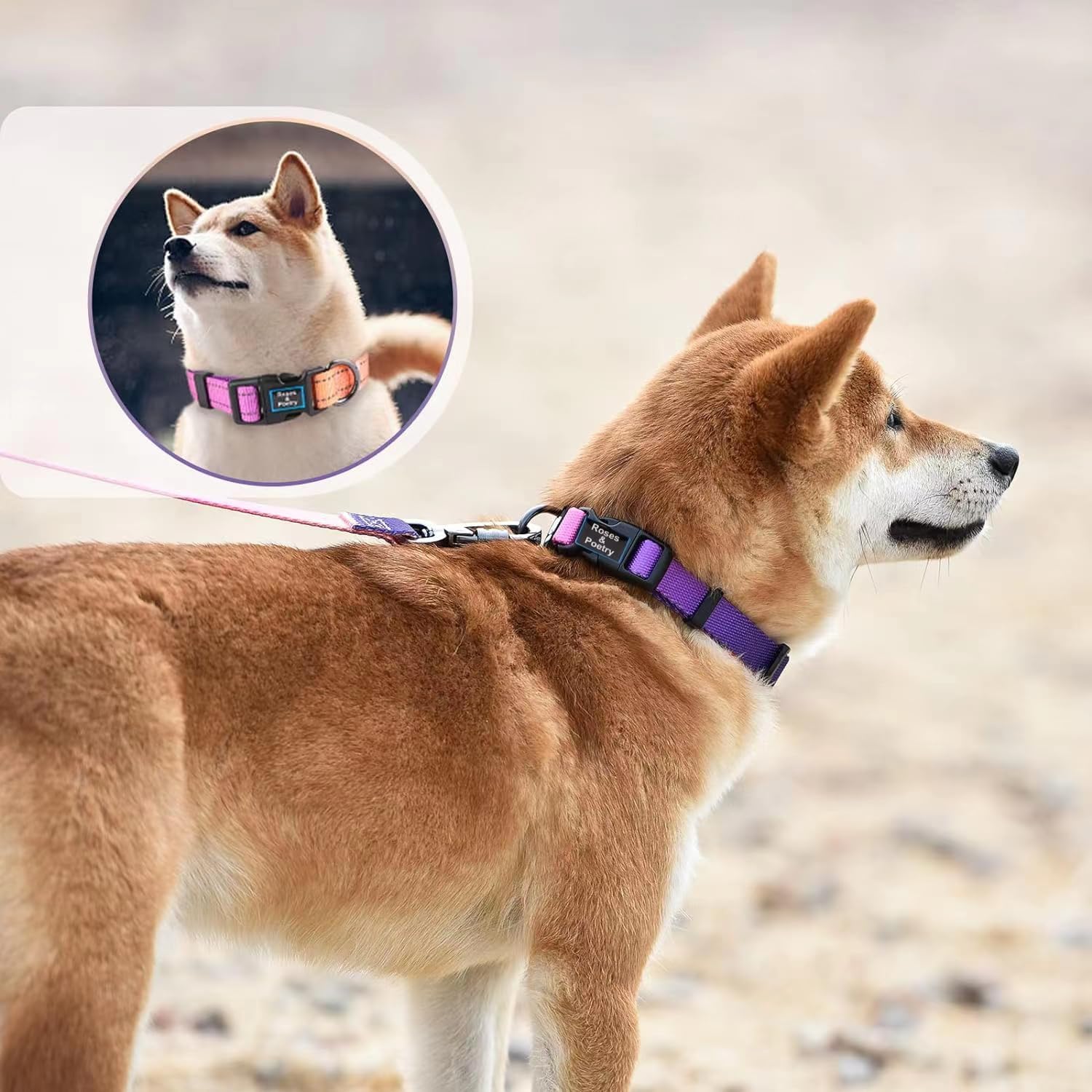 Roses&Poetry Pink Dog Collar and Leash Review